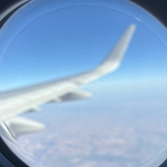 let’s take a trip (baws)