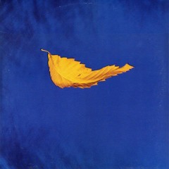 New Order - True Faith '94 [Instr. Cover]