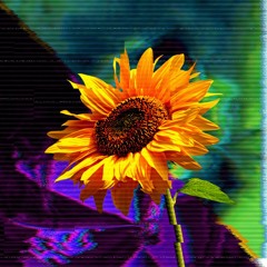 Pu11 Up (sunflower seeds remix)(song wars)