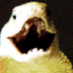 Conservative Contact Prod DilygotitBumpin