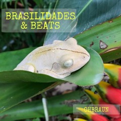 Brasilidades & Beats
