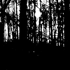 I̵͚͚͓̔͘ a̴̺̫͎͌̀͝m̵̟̙͎̓͒ o̸̡͔͚͒̾͊k̴̘͍͔͊́͐a̸͉͎͕͛̓y̸̙͚͉͑̒̚