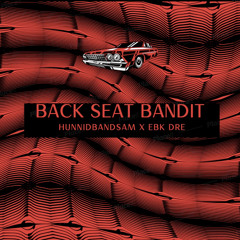 Back Seat Bandit