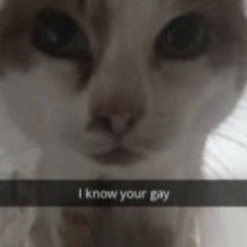 girls rituals - carousel