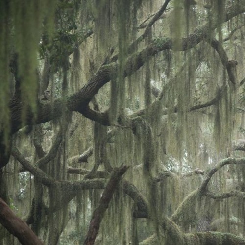 srry i wasted ur time