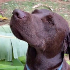 BADDAH GYALS - OFFICIAL.mp3