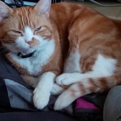 Bring The Noise X Floral Dance (Remix)