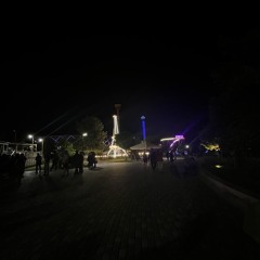 Night