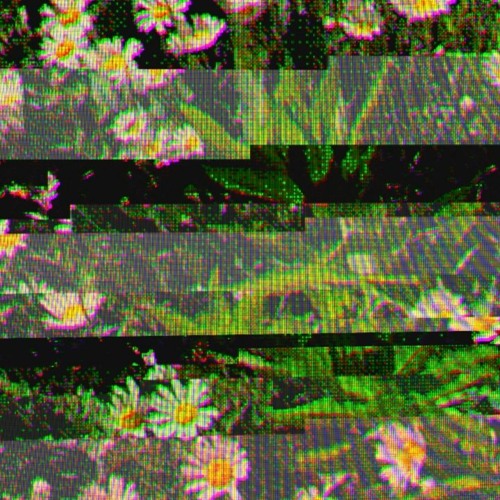 Stream butterfly {ddr remix} by root vegetable boy Listen online for