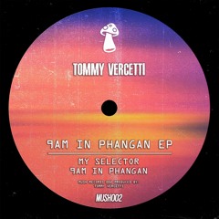 My Selector (Extended Mix)