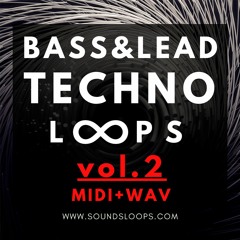 101 Bass & Lead Techno Loops Vol.2 MIDI + WAV (Sample Pack)
