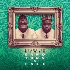 Bawo - Turn And Face (Brandieu Remix)