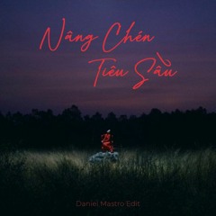 Bích Phương - Nâng Chén Tiêu Sầu (Daniel Mastro Edit)