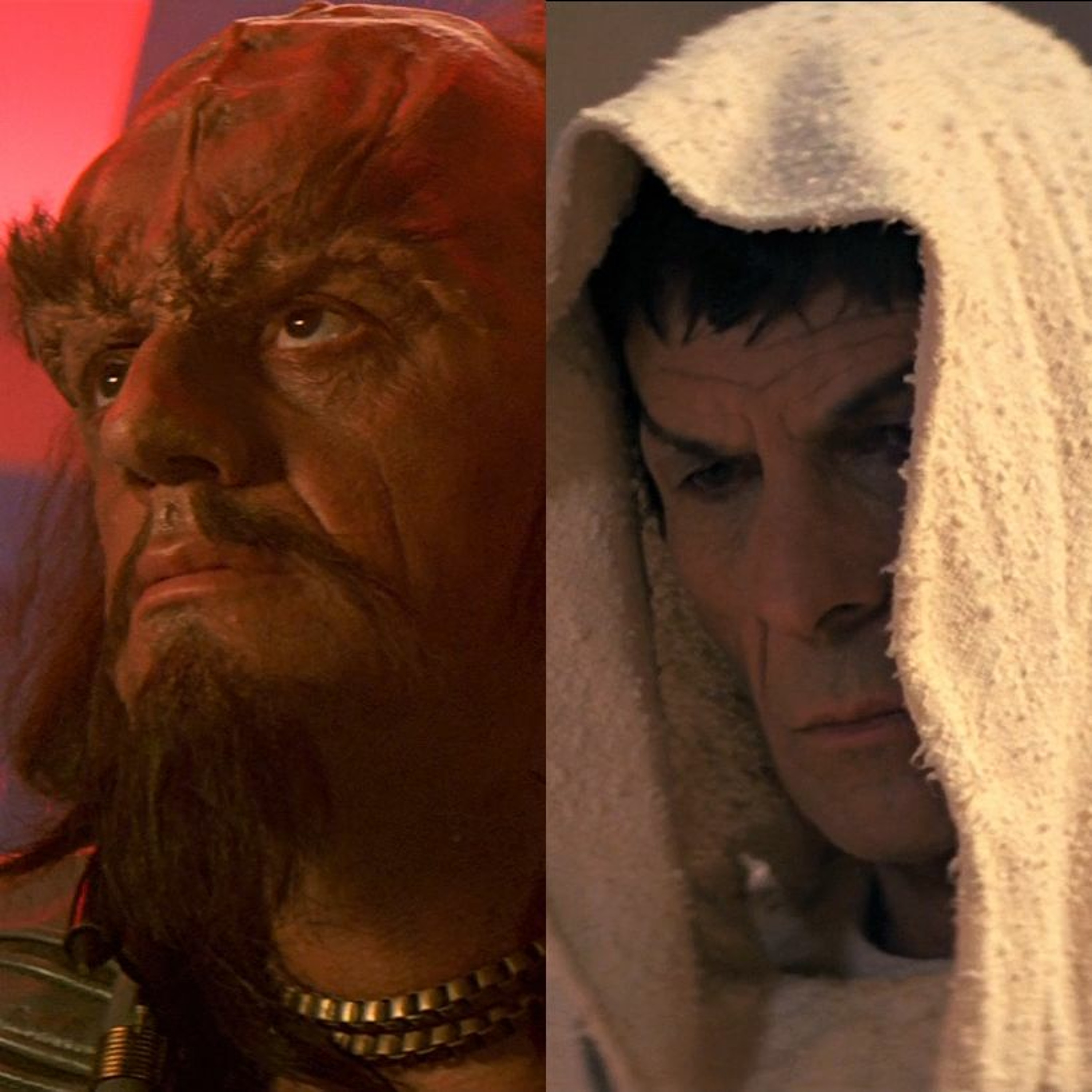 A Star to Steer Her By