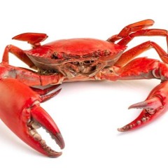 Edge Of Town (Bill's Version)