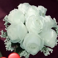 سأهديك حبي |فارس حميدة |