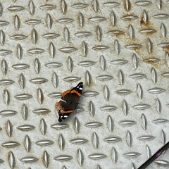 Naja's Warm Welcome @ The Lot Radio 05-07-2023