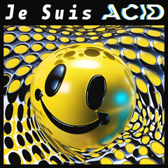 Je Suis Acid (Maltitz  Remix)