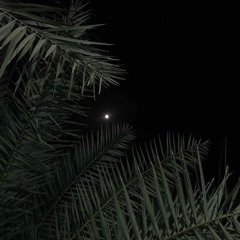 ‎⁨زعلان ياملوك ؟ نرضيك ونزيدك رضى⁩