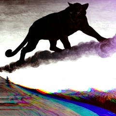 You Didn't Have To Do It (2000)