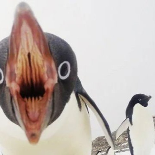 *0ss14n g m1x* .´`p1ngu4l1f3´`. ""kill bill"" [pr0d.p1ngu4l1f3] *st4rv1n n4t10n*