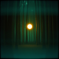 The Way Out of Darkness