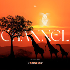 Tyla - Channel (RyckShow Afro house Remix)