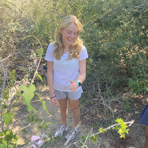 vampire empire (cover)