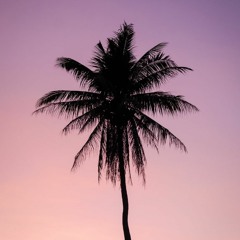 Spice, Sean Paul, Shaggy - Go Down Deh | Bass Boosted | Remix