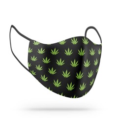 pd-s167: A. G. Kush - 2 Lit 2 Quit