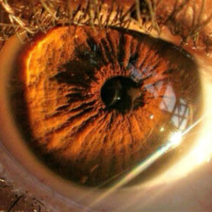 i've been waiting so long