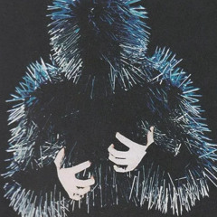 Lucas - intercourse of noise
