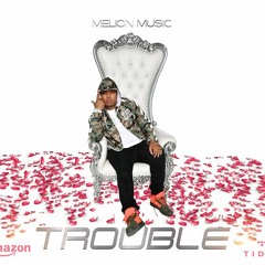 Melion Music - Trouble (Synesthetic Nation)