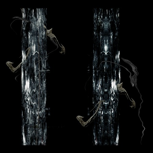 SLIME COCA - NERVOUS SYSTEM