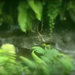 эвкалипт 2 вдыхаю (prod. слезы ромашки)