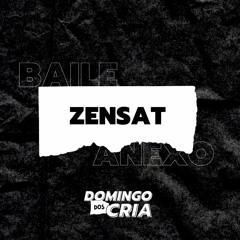 SET ZENSAT @ DOMINGO DOS CRIA - BAILE DO ANEXO