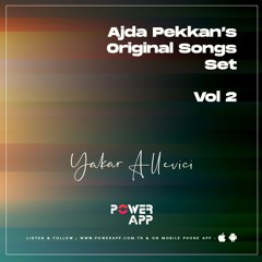 Ajda Pekkan's Original Songs Vol.2