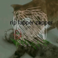 the death of zapper lappers long lost twin