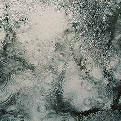 Rising Sun - M (Essay)