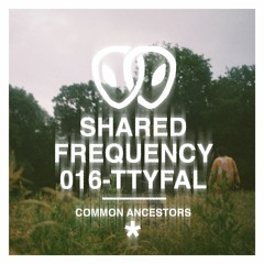 Shared Frequency 016: TTYFAL