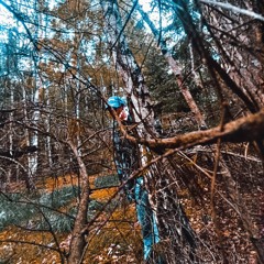 Tellerwäscher - Toxic Forest