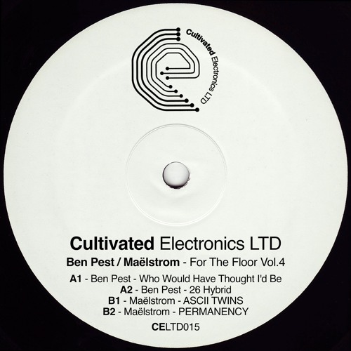 TL PREMIERE : Maëlstrom - ASCII TWINS [Cultivated Electronics LTD]