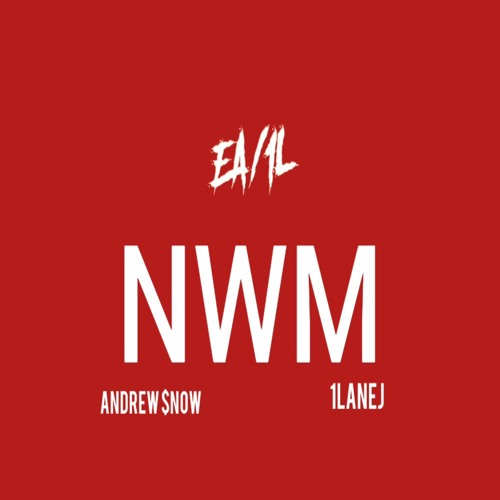 NWM (N*gga Wit Money)