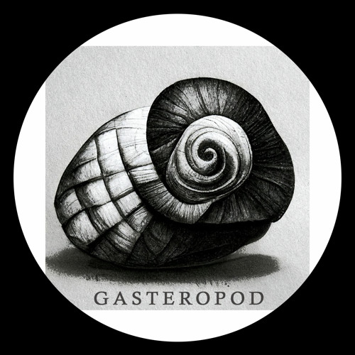 Gasteropod