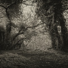 Somewhere