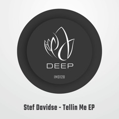 IMD128 - Stef Davidse - TELLIN ME EP