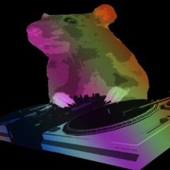 david letterman Prod. Connor Blask