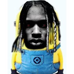 Took Her To The Minions