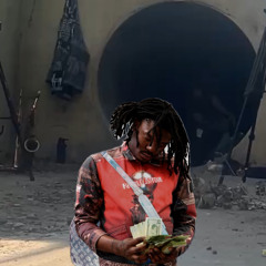 lucki twins flip