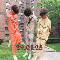 29.01.25 prod helmin